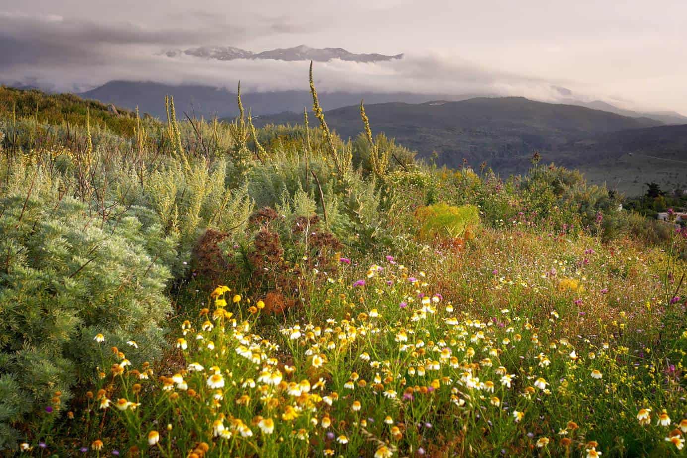 things to do in crete