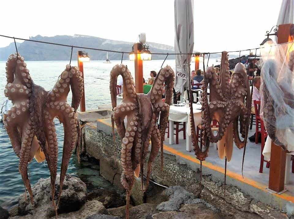 santorini octopus
