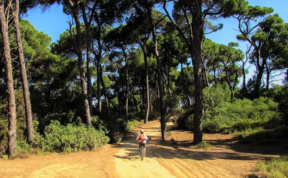 skiathos for families